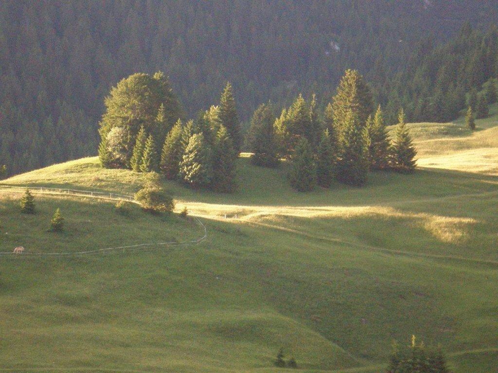 Hotel Alpenhof "Alt Laehn" Esterno foto